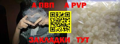 стаф Малгобек