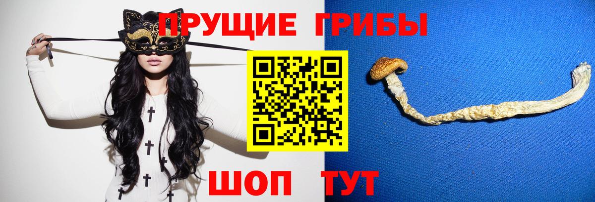 Псилоцибиновые грибы Psilocybine cubensis Удомля